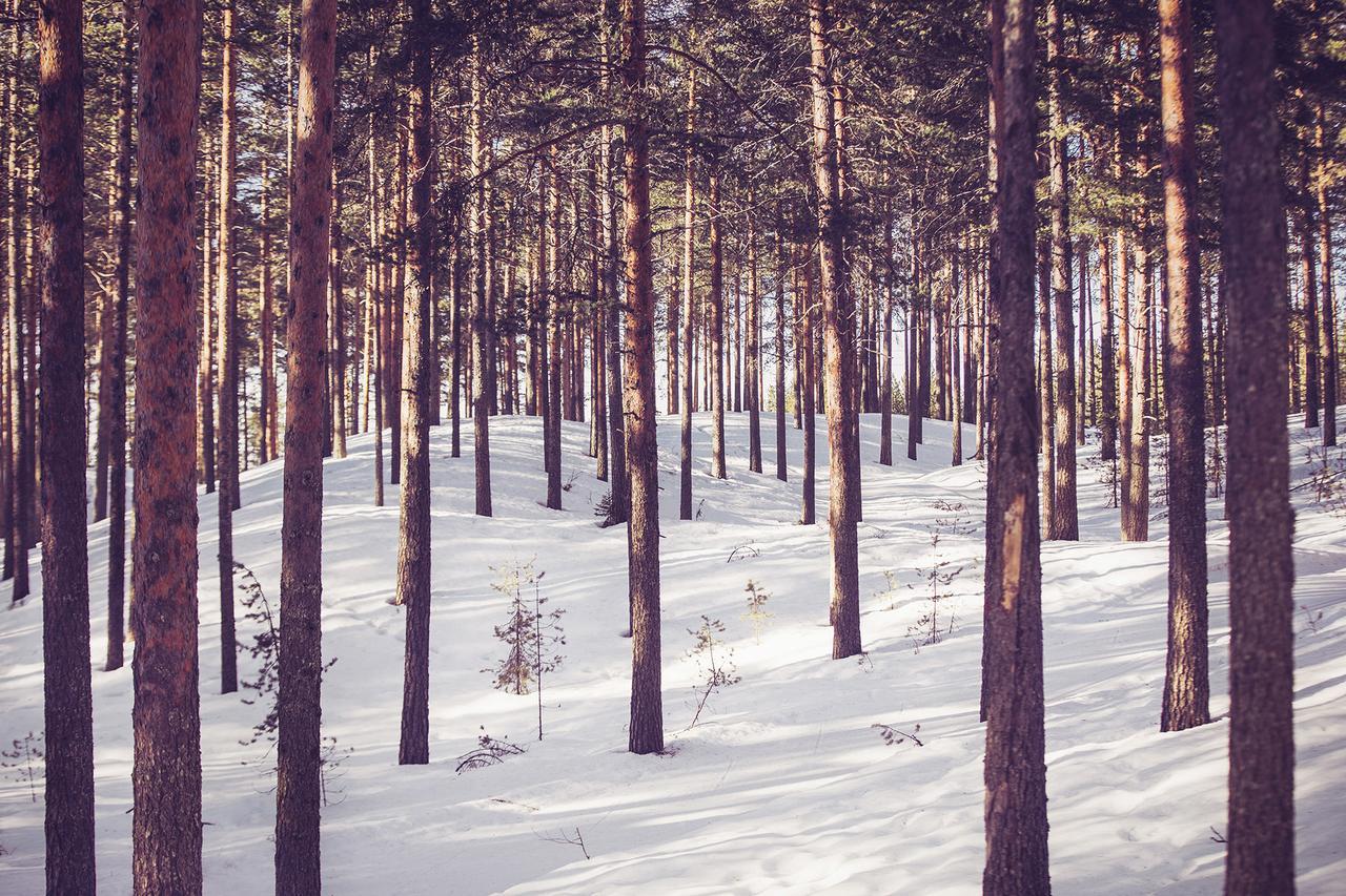 Vuokatti Sport Chalets エクステリア 写真